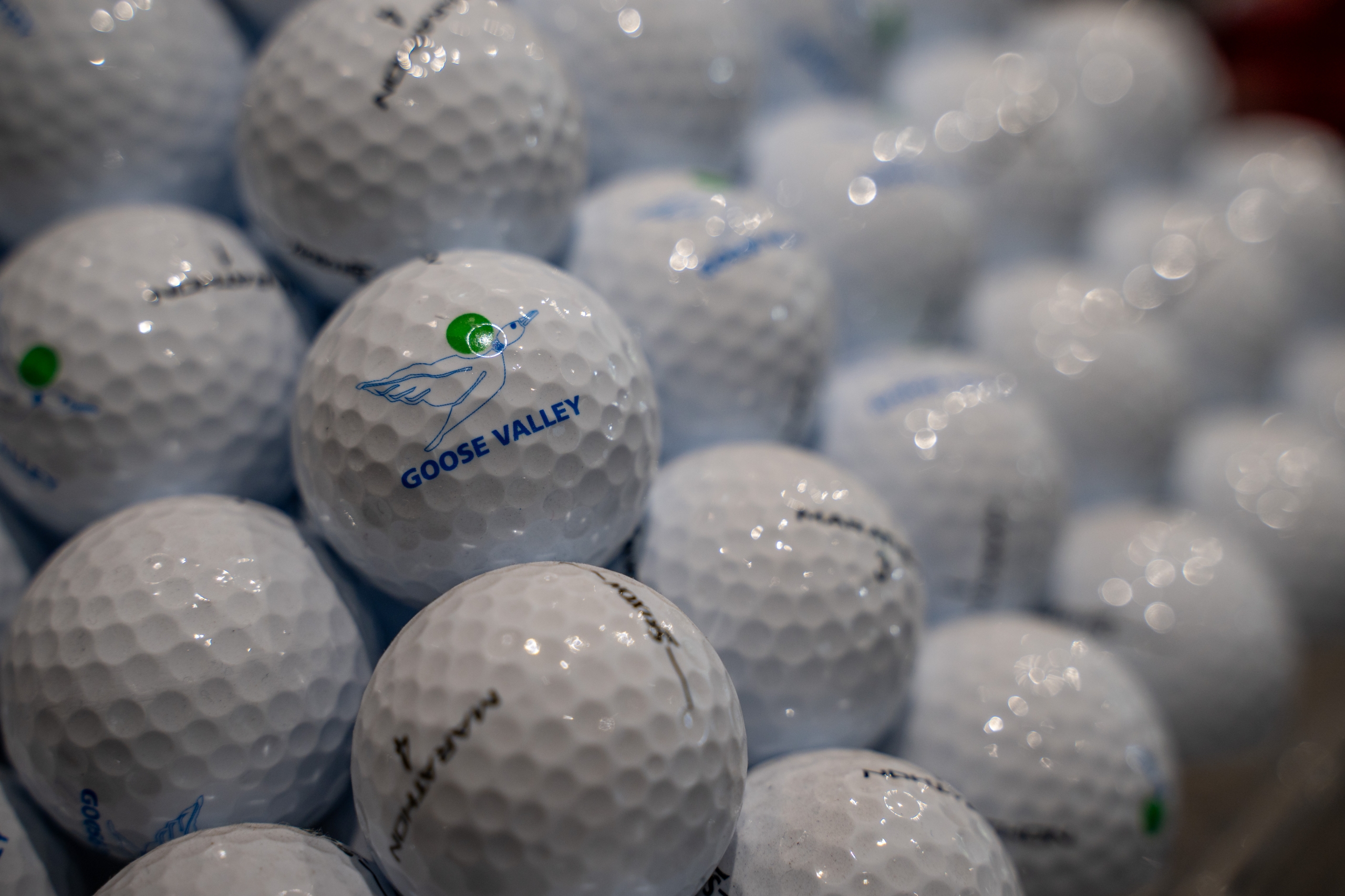 Goose Valley Pro Shop August 2023 ©Mark Sampson