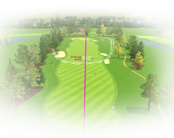 Reformer-golf-virtual fairway